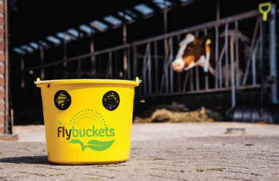 0372948 02 FLY1 550 1